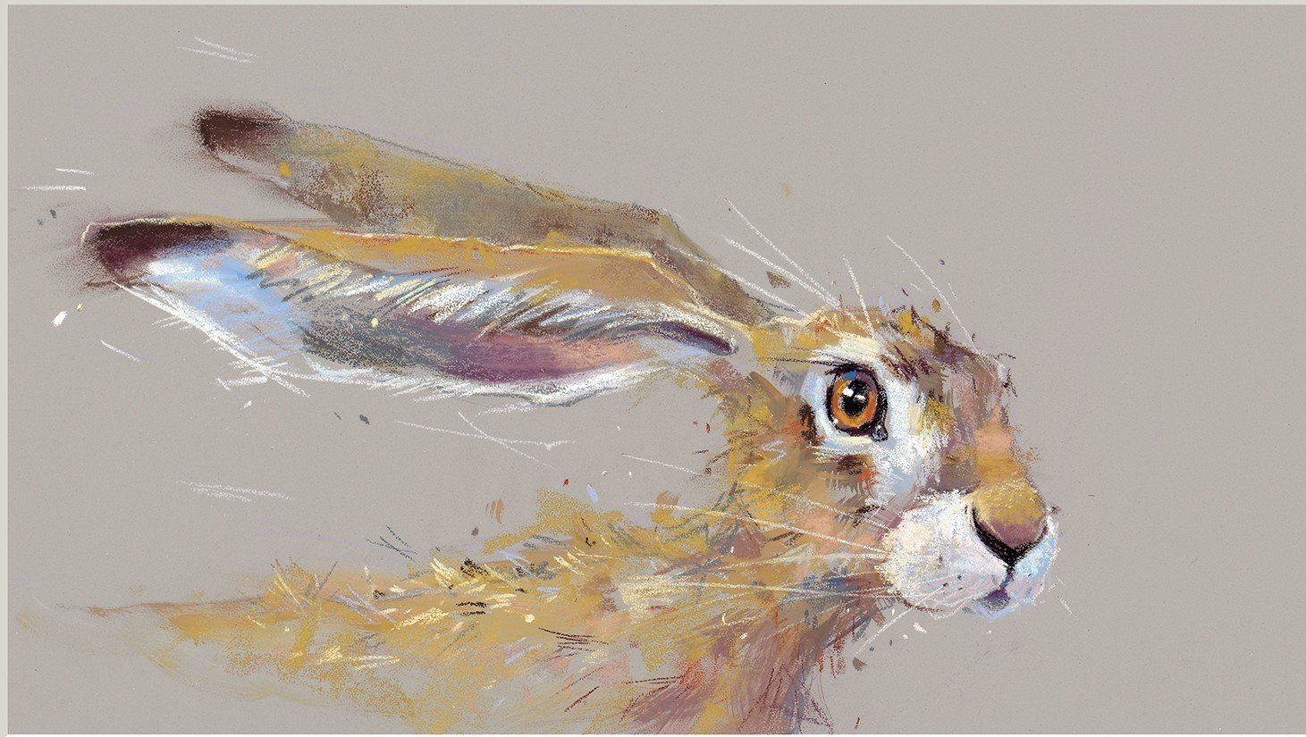 Sorry Must Dash - Nicky Litchfield
