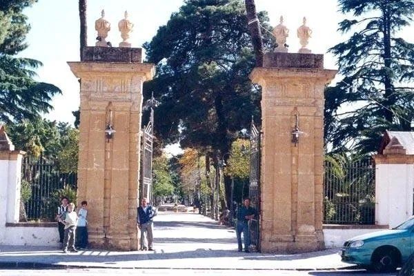 Arte in pietra di Sabucina