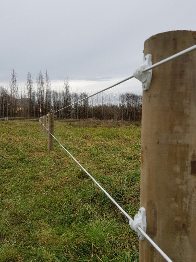 Horse fence Equine wire