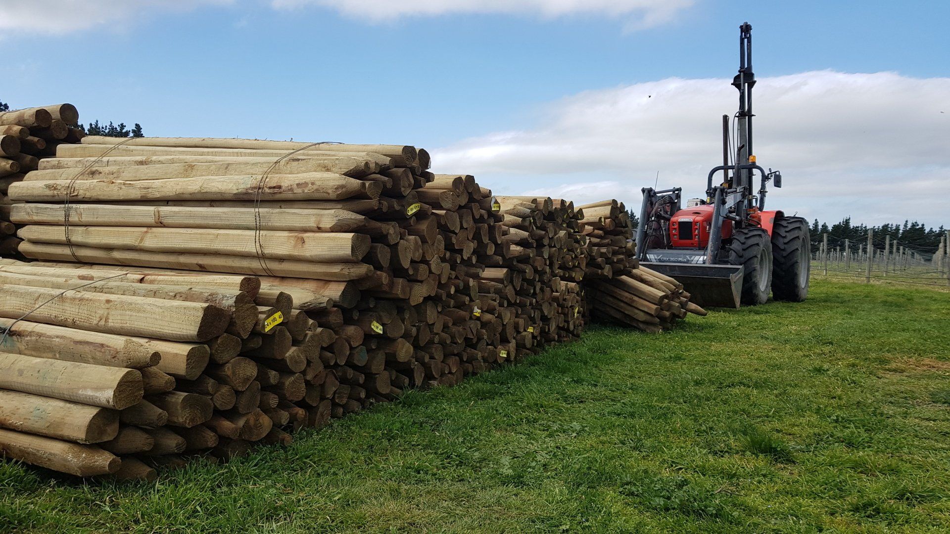 Supplies for Fencing in Canterbury