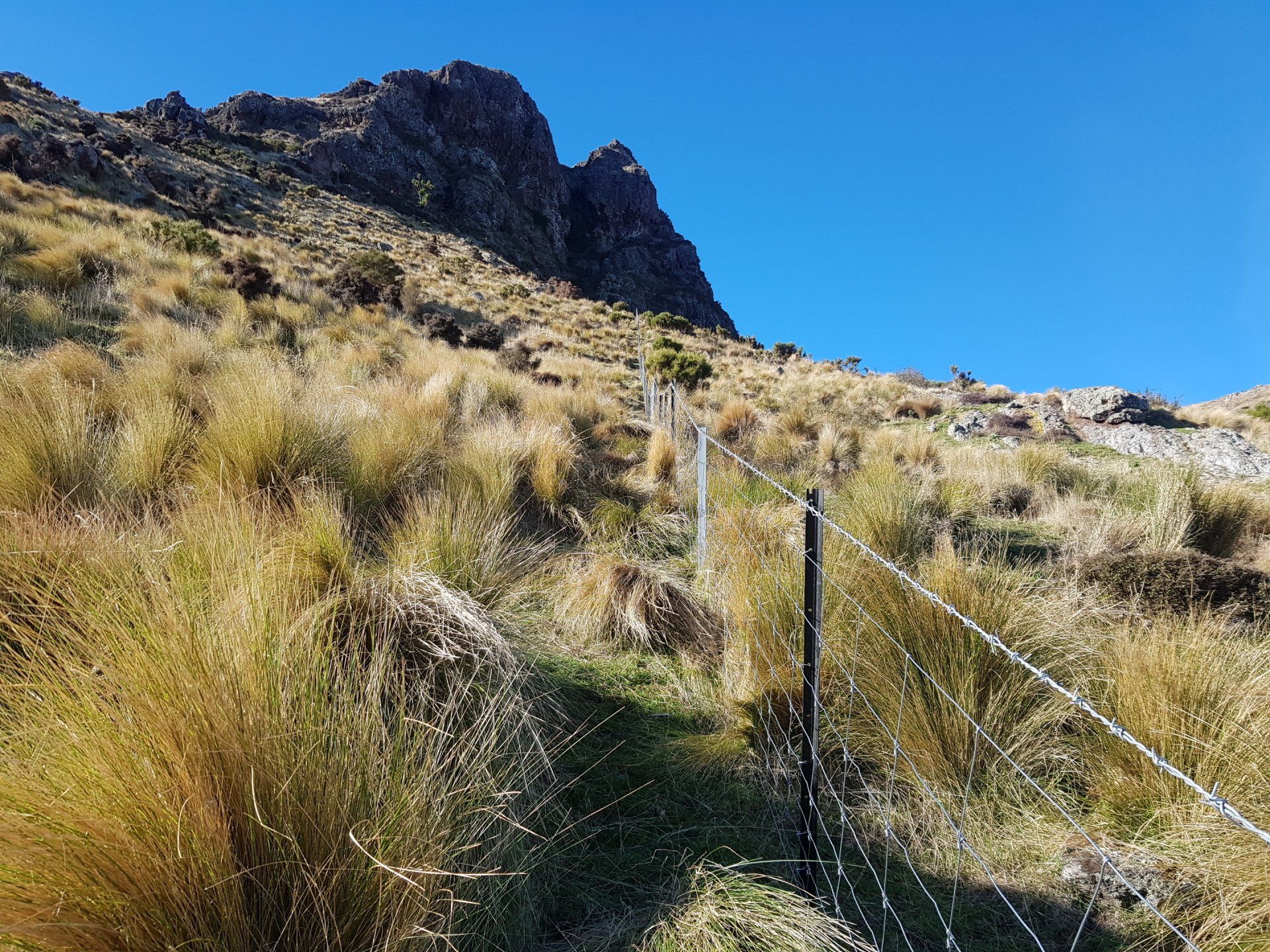 Rural Fencing