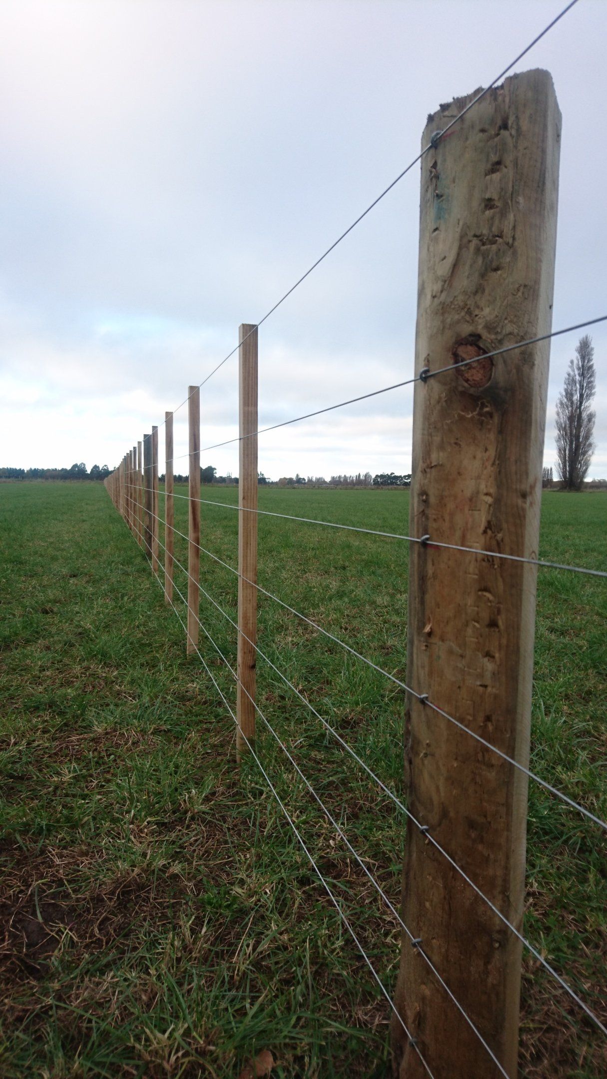 Batten fence, Wire fence, Sheep fence, Cattle fence, Farm fence
