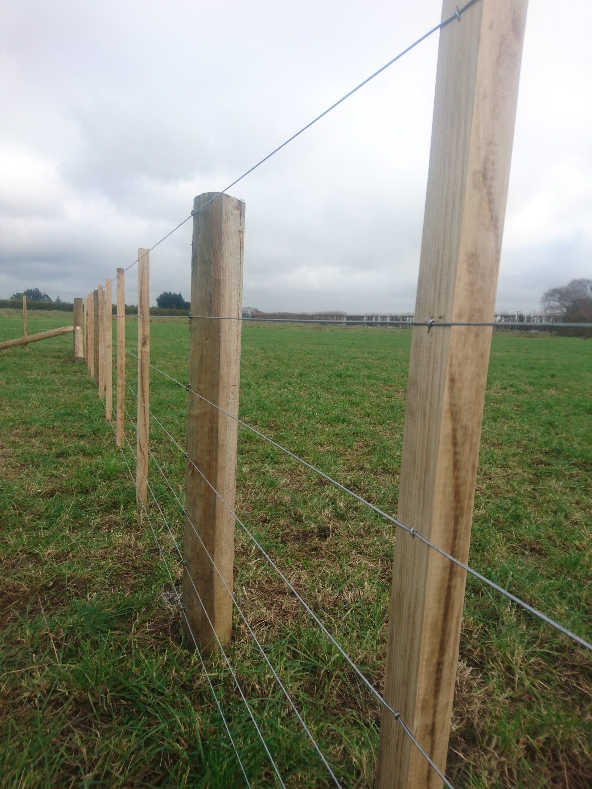 Electric Fence
