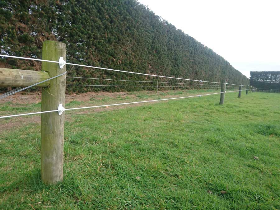 Horse fence Equine wire Electric