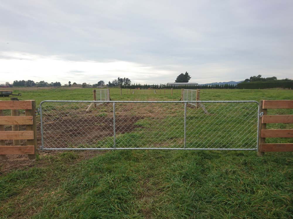 Equine gate