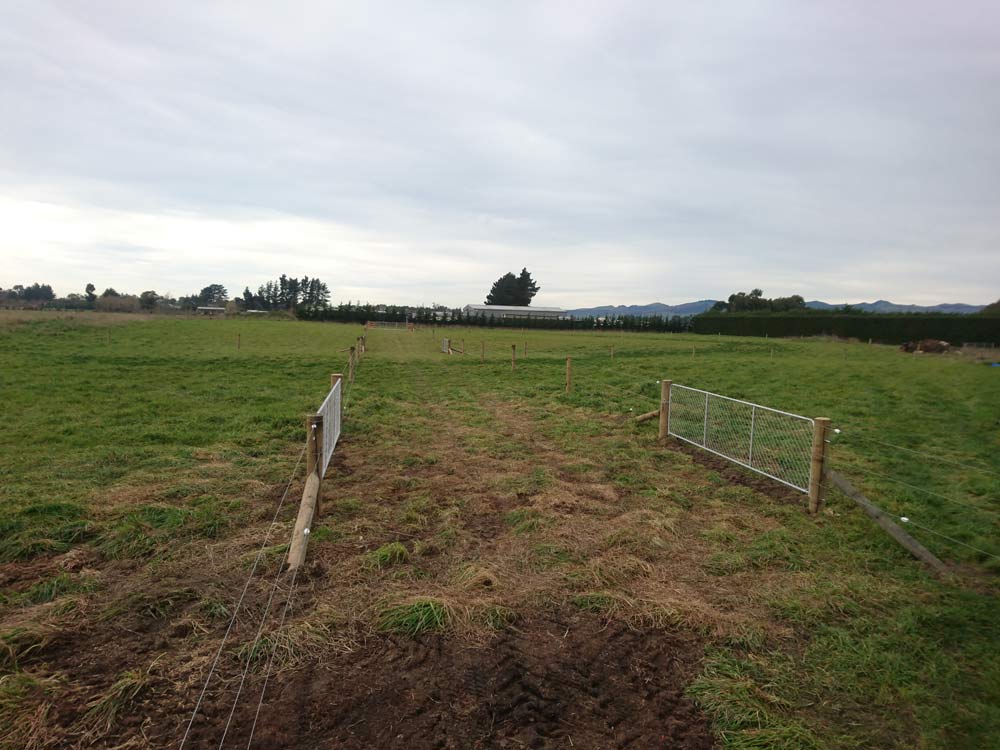Horse fence Equine wire Electric