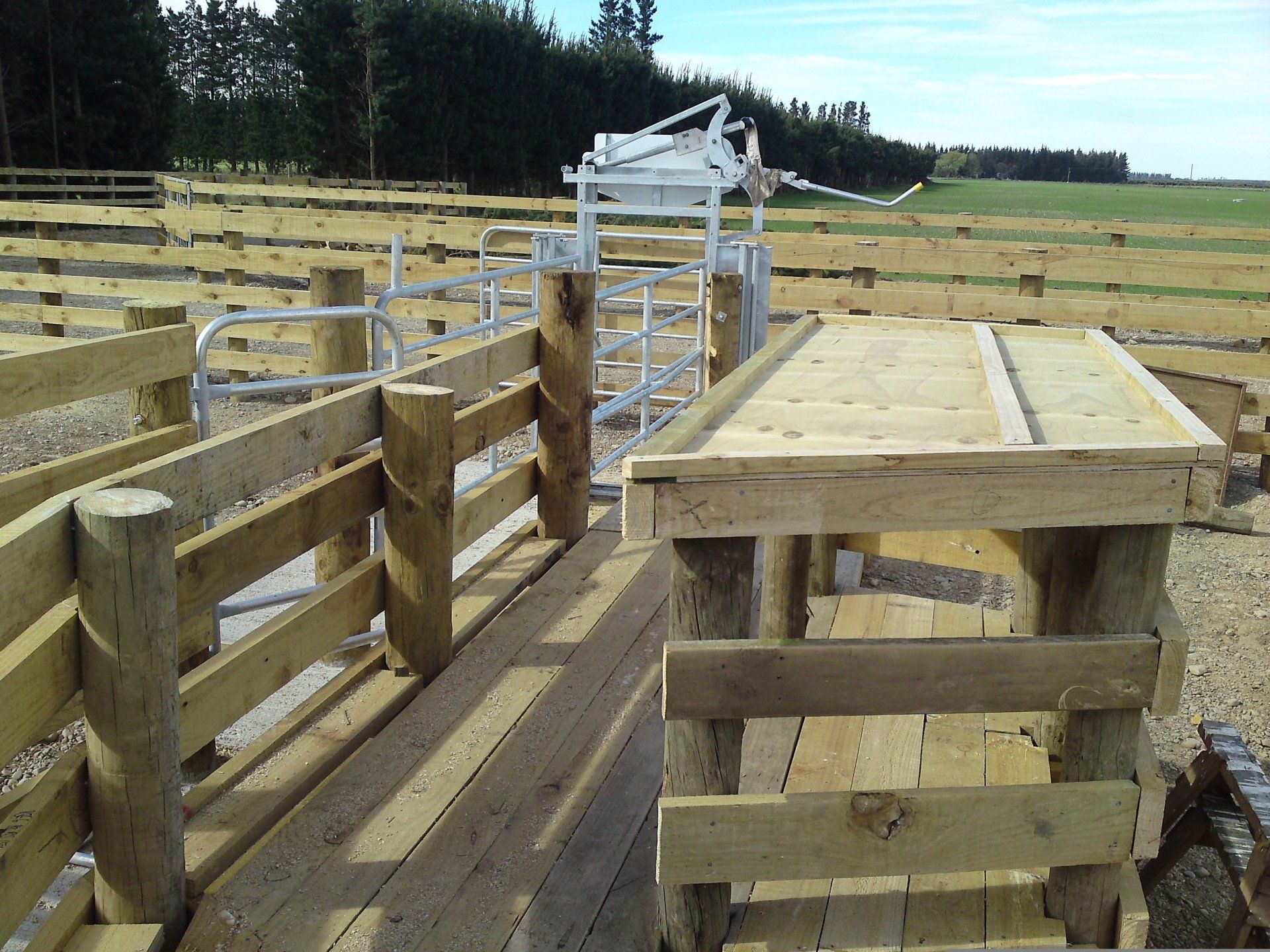 Cattle yards