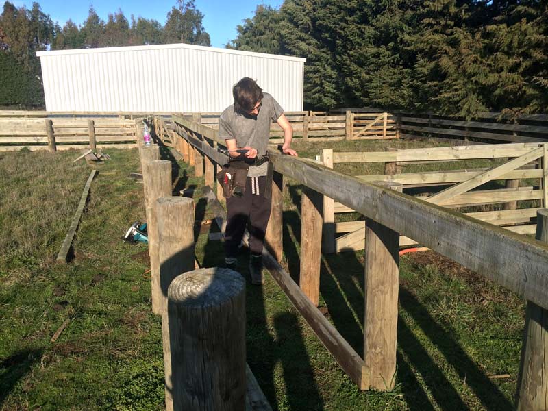 Cattle yard repair