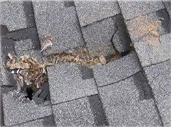 roof installation services