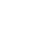 Renovation Renovation