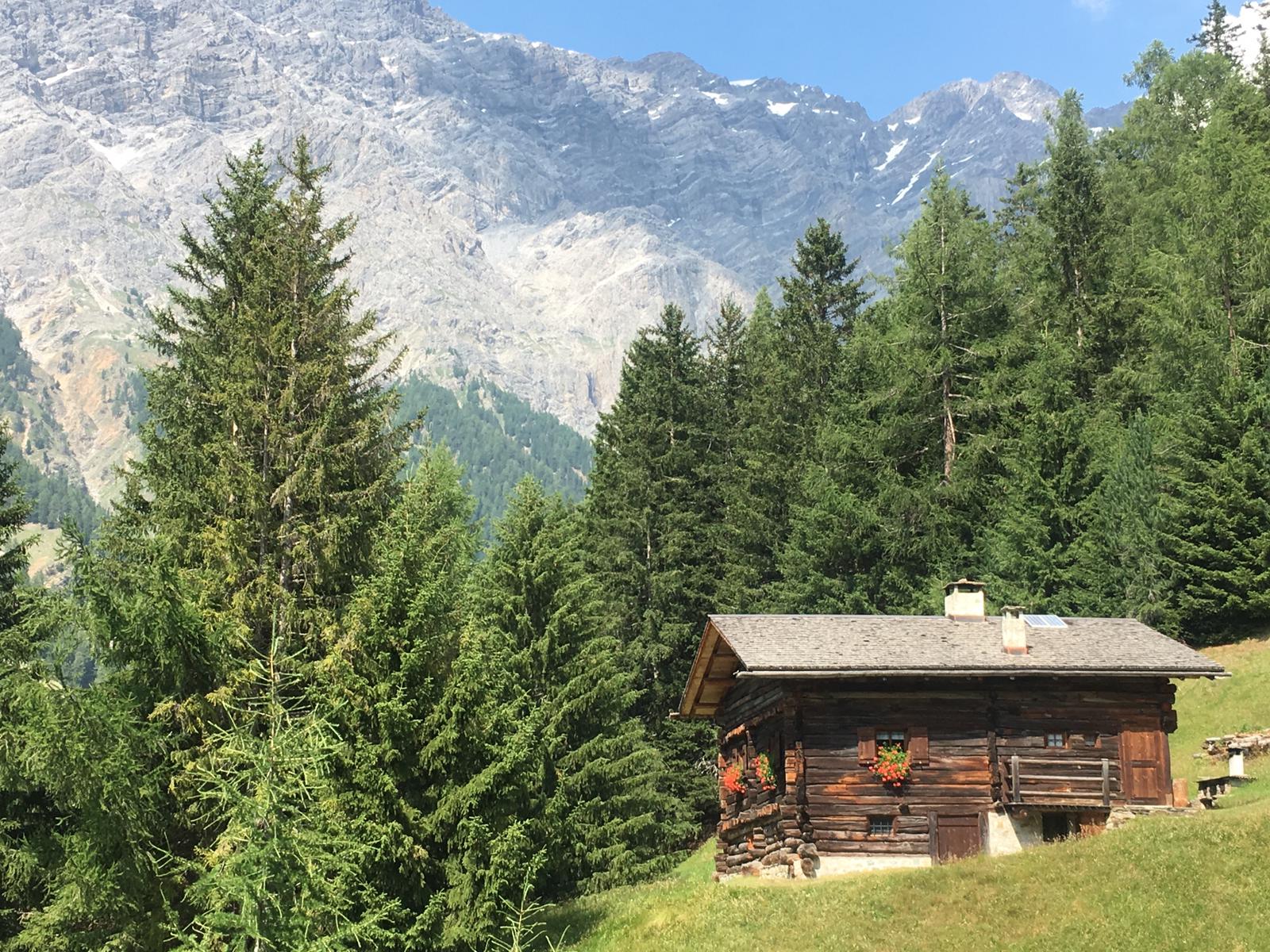 Una piccola baita di legno nel mezzo di una foresta con le montagne sullo sfondo.