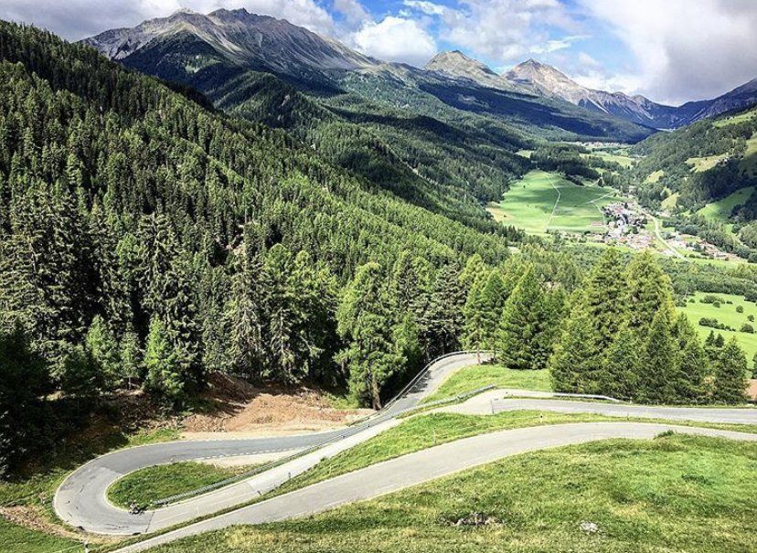 Una strada tortuosa in montagna circondata da alberi ed erba.