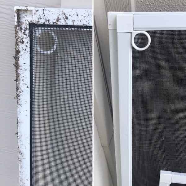window screen cleaning