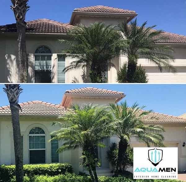 home with palm trees