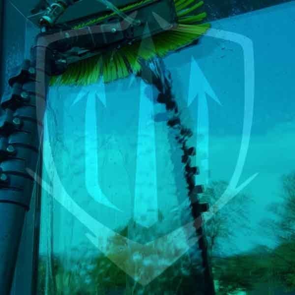 window