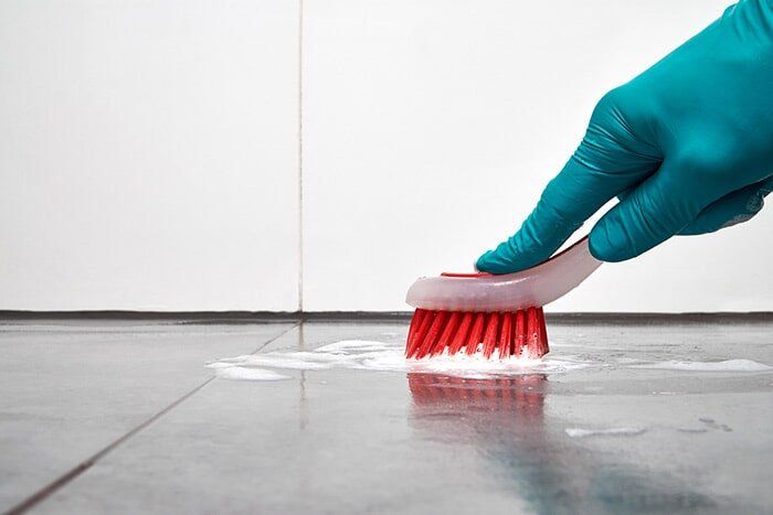 Mold Cleaning — Mold Inspection Atlantic City, NJ