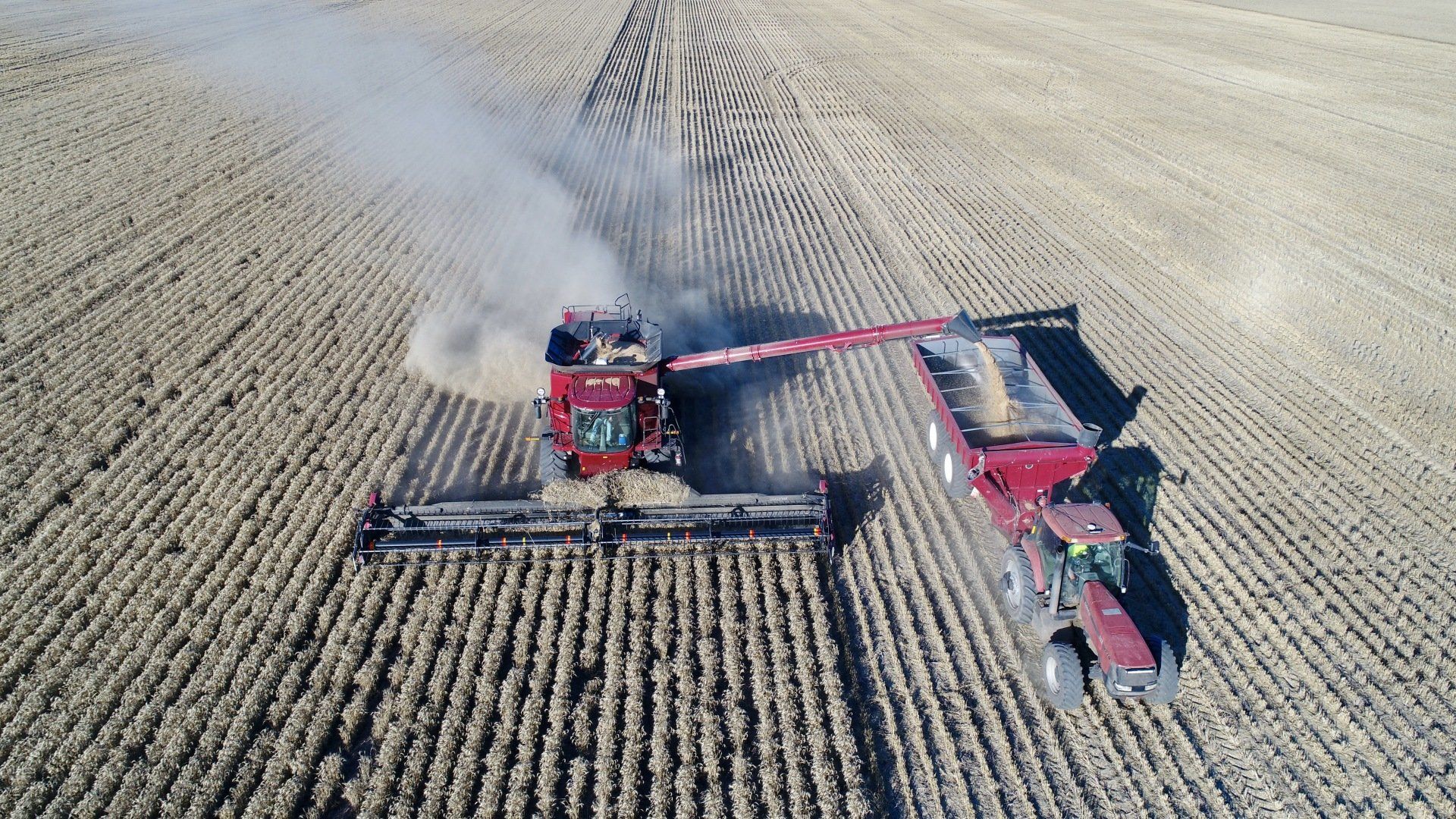 aerial view of farm
