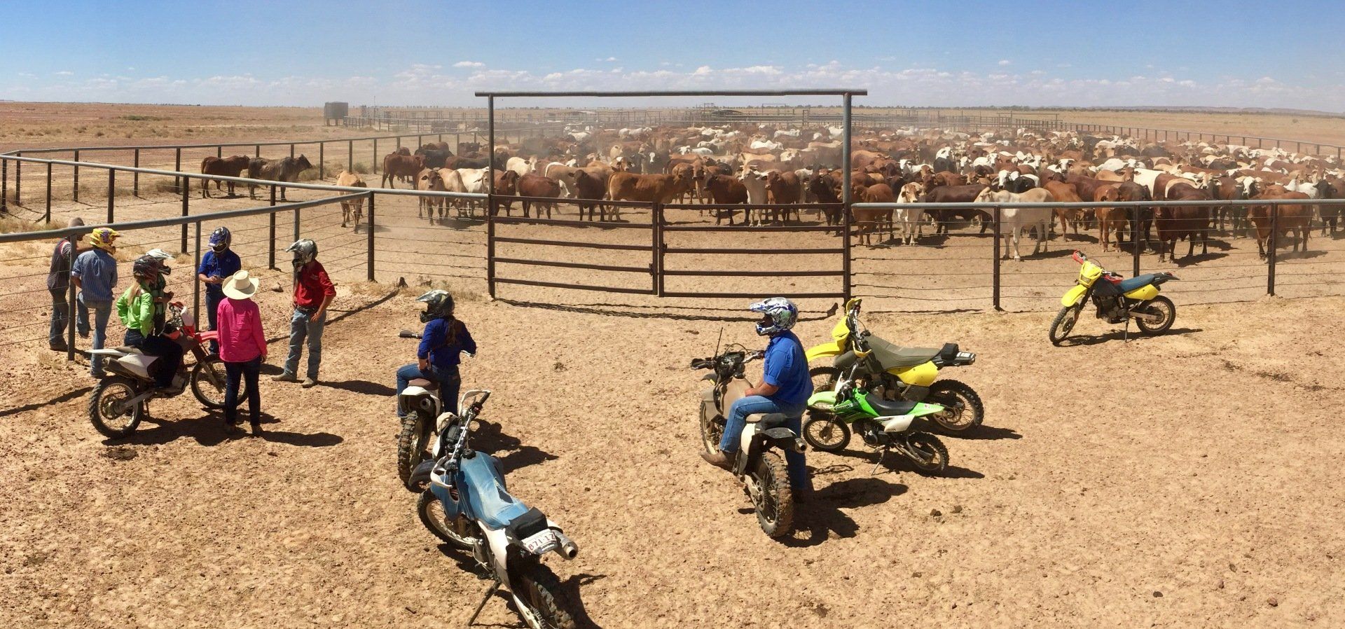 motor bikes with riders