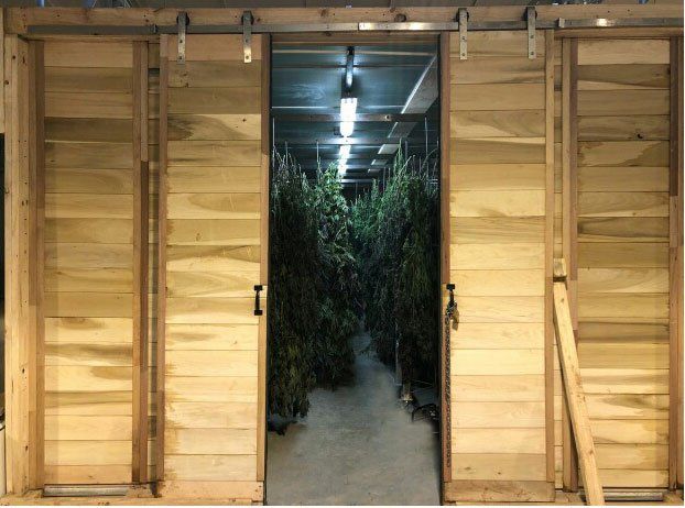 Kiln with plants drying