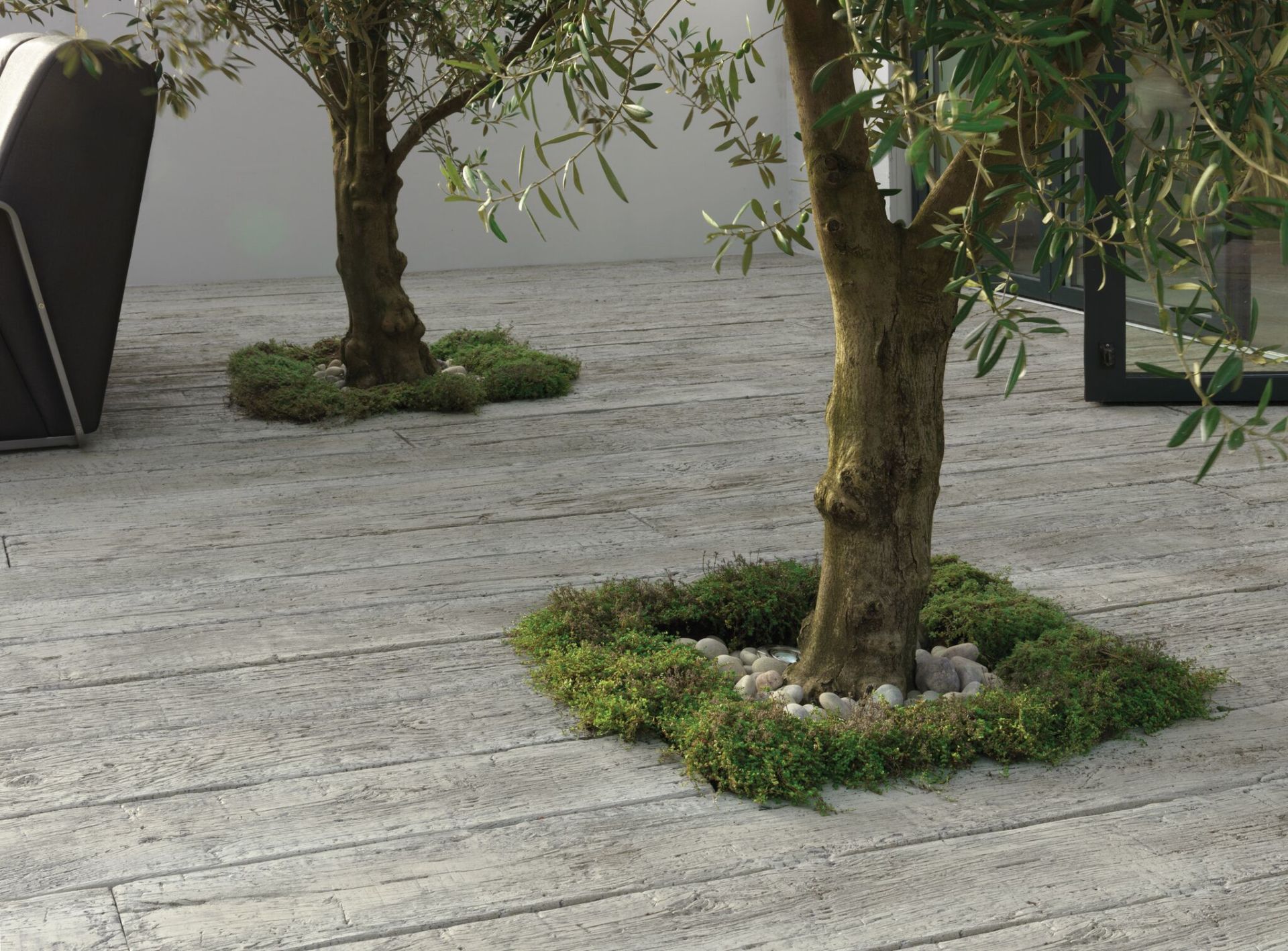 Weathered oak decking with trees