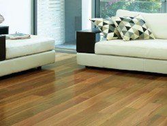 Polished wood flooring in living room