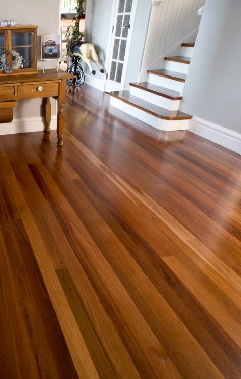 GREY IRONBARK