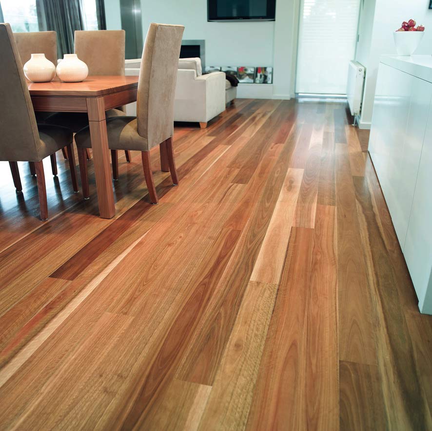 SPOTTED GUM NSW
