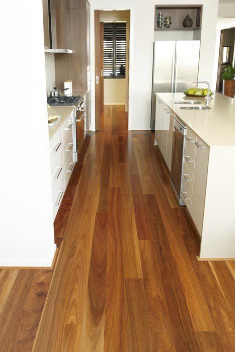 SPOTTED GUM NSW
