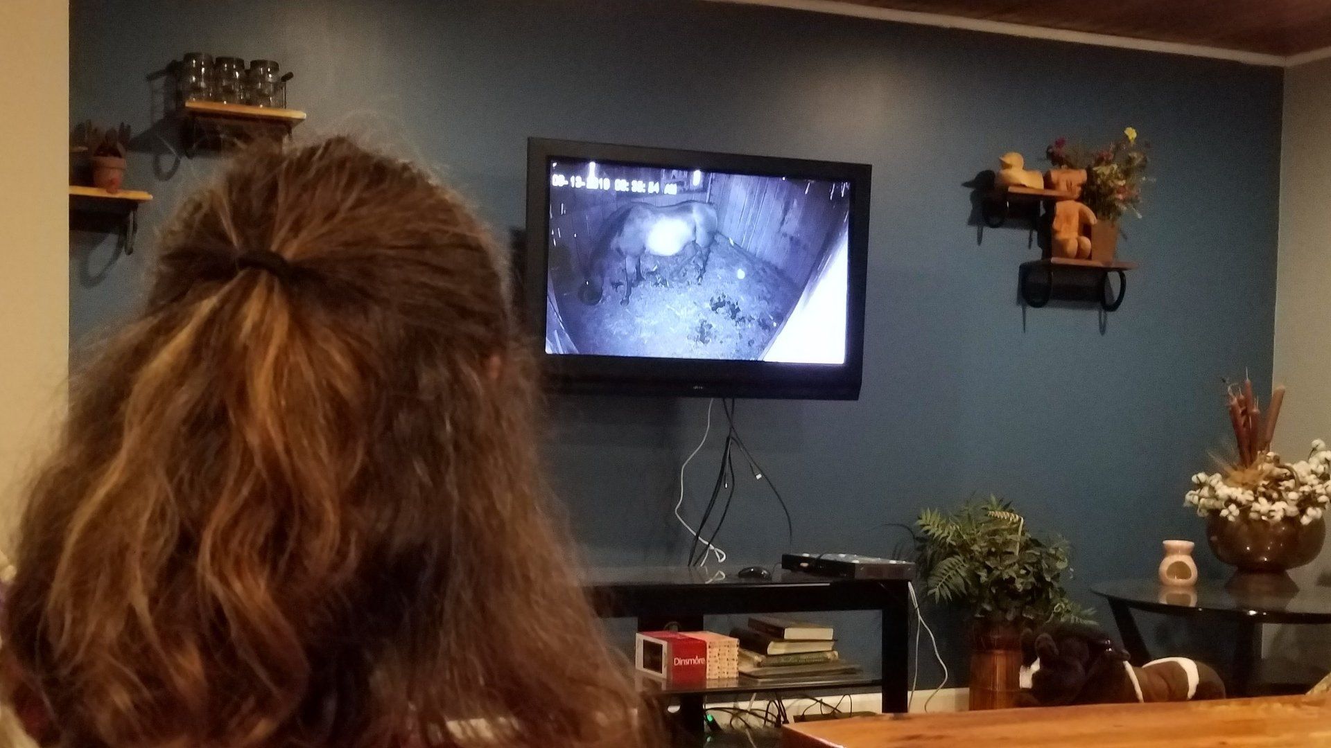 TV