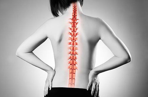 Physical Therapist Showing Anatomical Spine — Chiropractic Clinics in Madisonville, TN Physical Therapist Showing Anatomical Spine — Chiropractic Clinics in Madisonville, TN