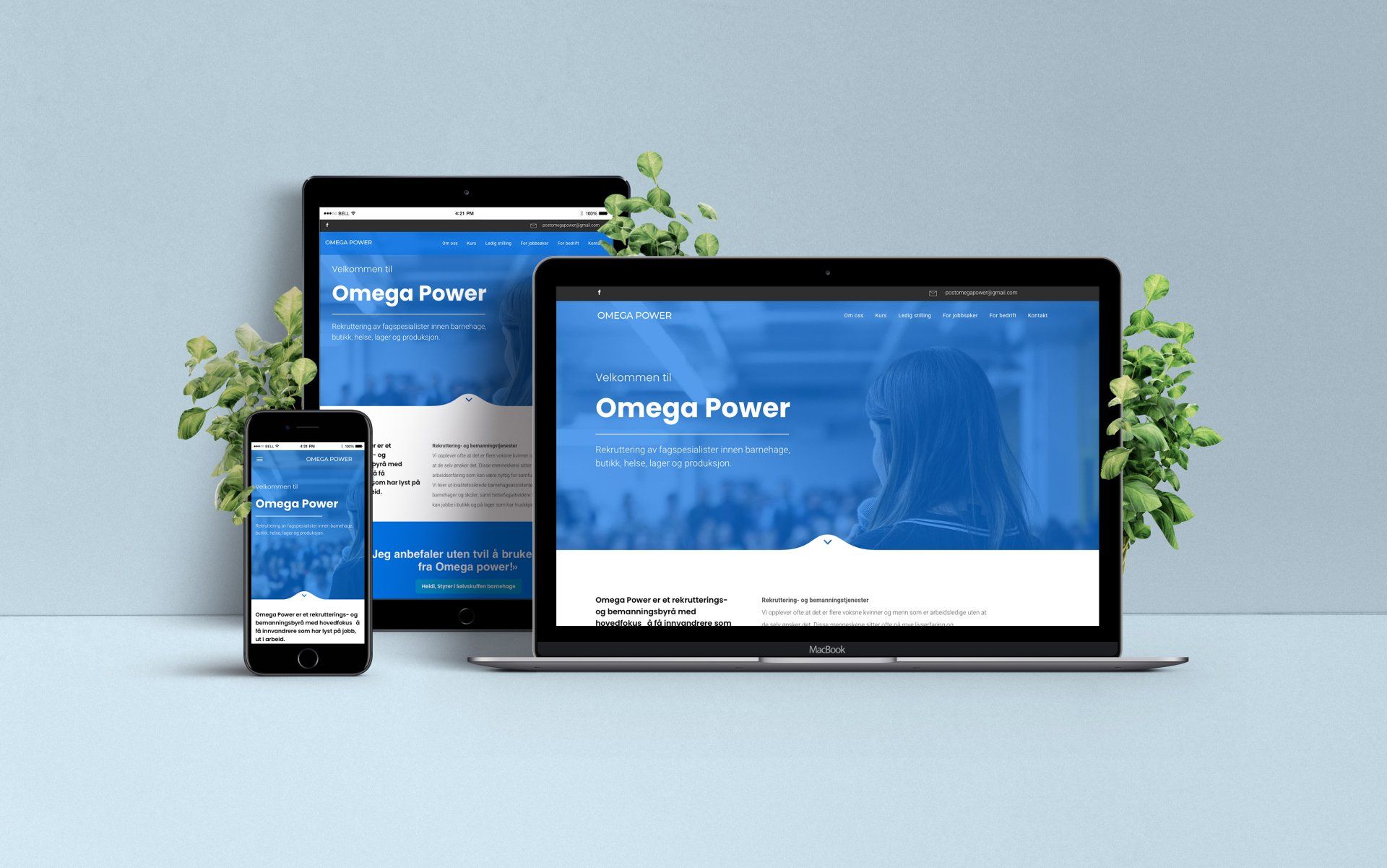 Nettside Omega Power