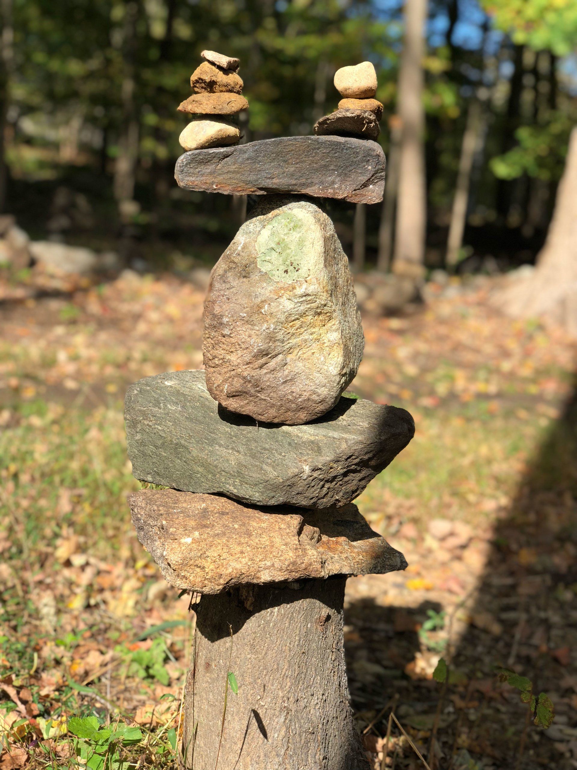 A pile of rocks stacked on top of each other on a tree stump in the woods.