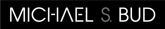 The name michael s. bud is on a black background
