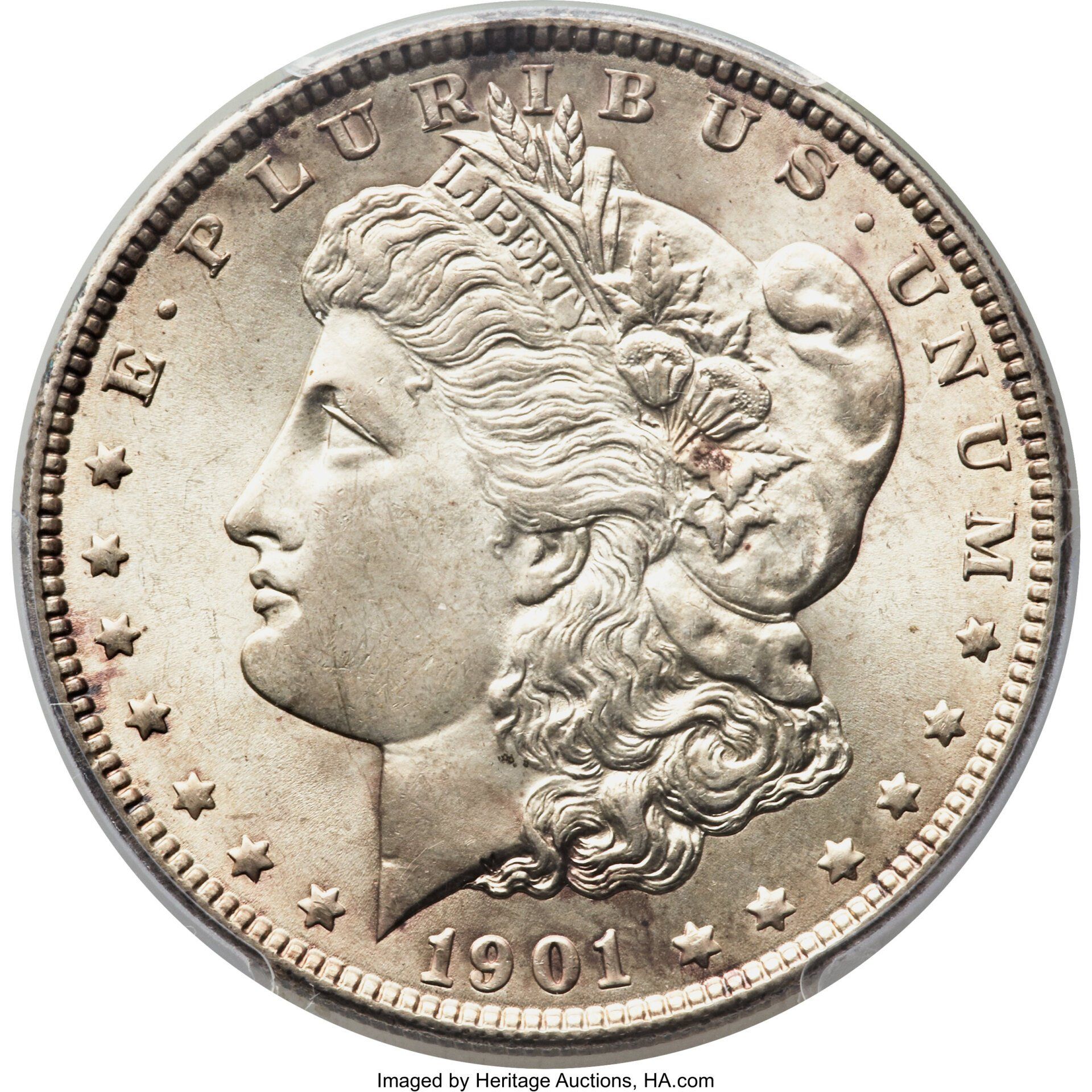 1901 Morgan Silver Dollar