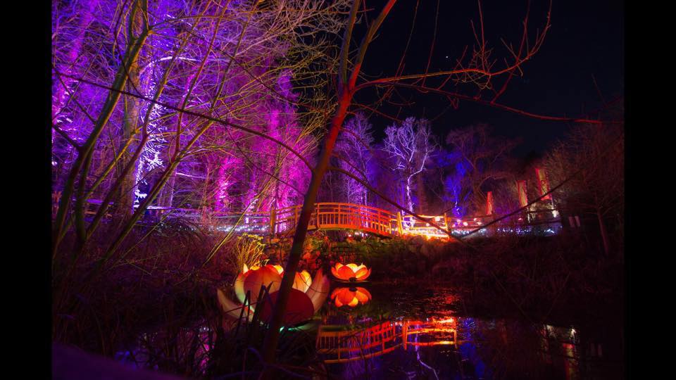 A group of people are standing on a bridge over a river at night.