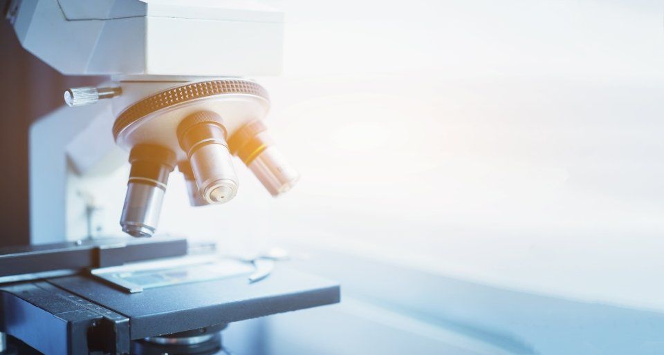analisi di laboratorio
