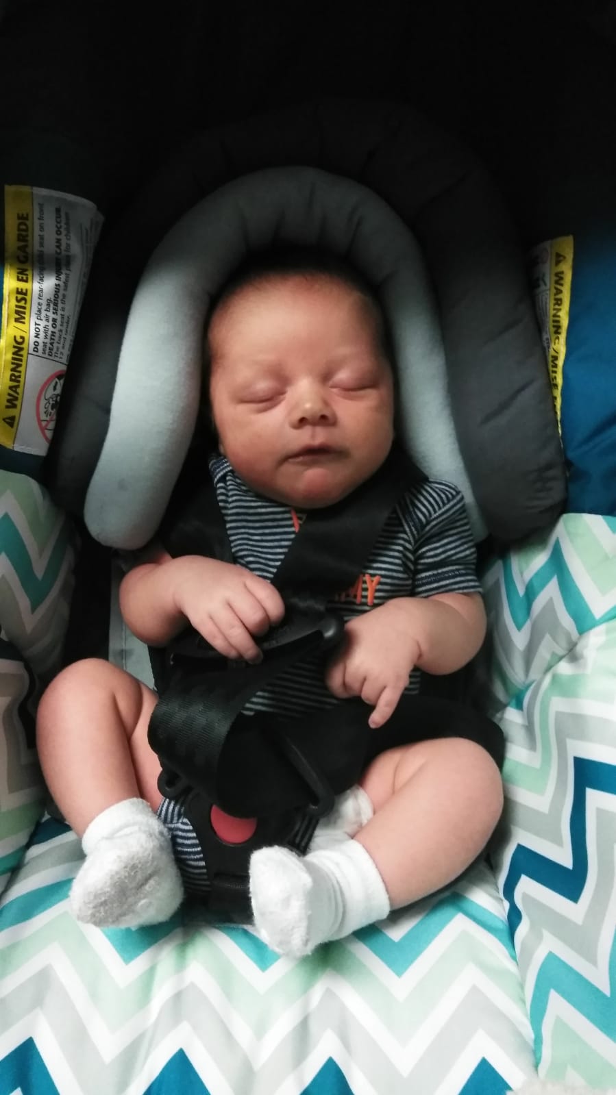 Baby Trolley with Head Support — Ocala, FL — All About Women OB/GYN Clinic