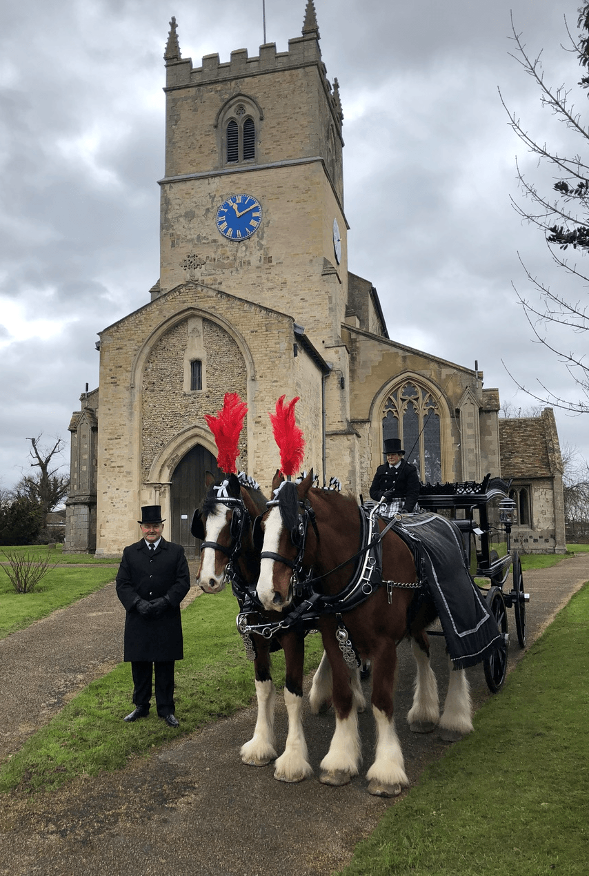 Horse carriage