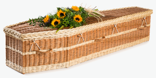 Eco English Willow