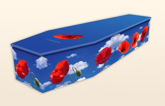 Eco Cardboard “Just Poppies”