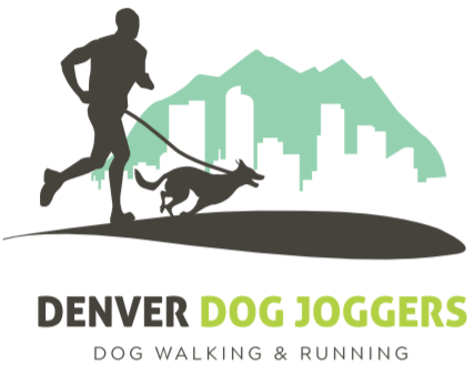 Home Denver Dog Joggers