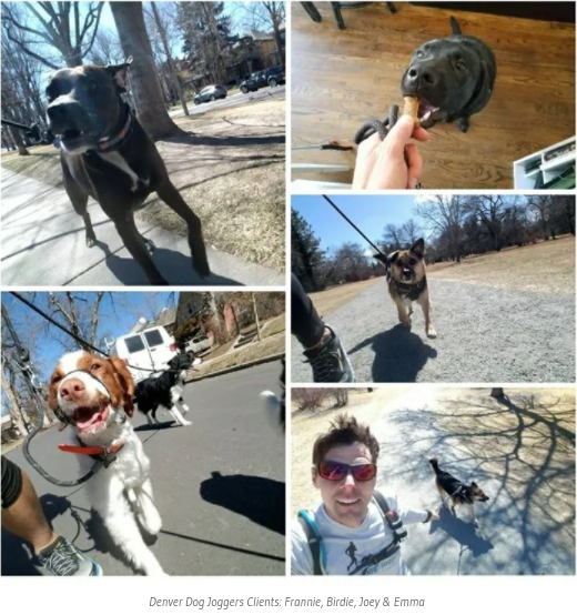 running dogs