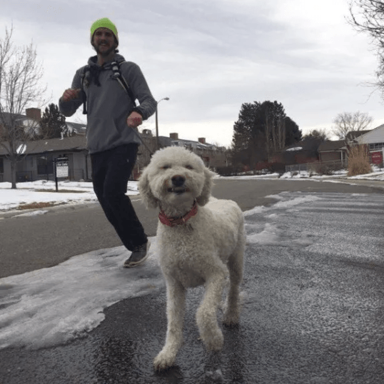 dog running