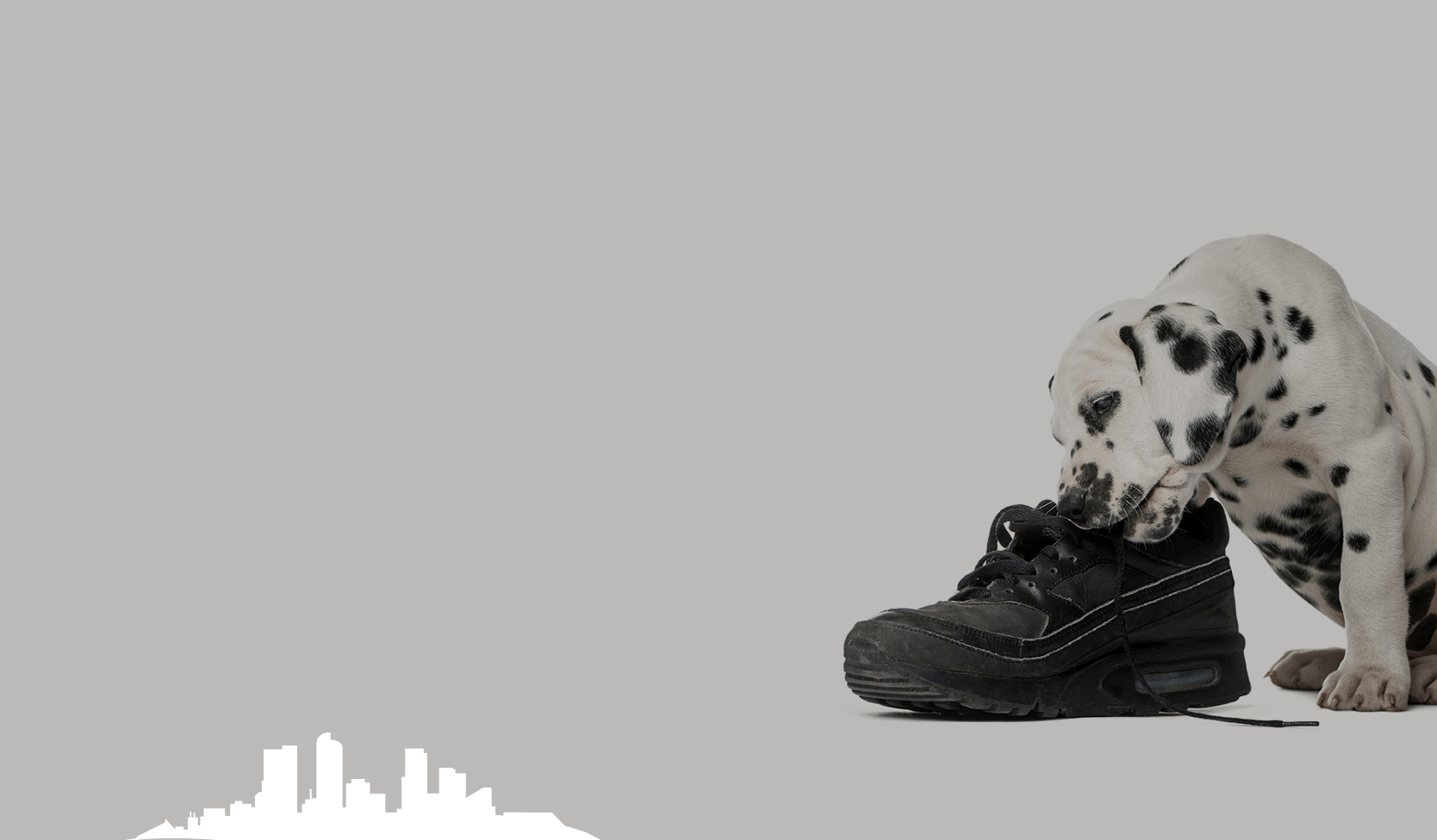 Dalmatian puppy chewing a black shoe against a gray background; a cityscape silhouette is in the bottom left corner.