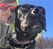 Black and white dog's close-up with a human blurred in the background, blue sky.