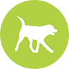 Denver Dog Walking Service