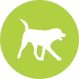 White dog silhouette in motion, on a green circular background.