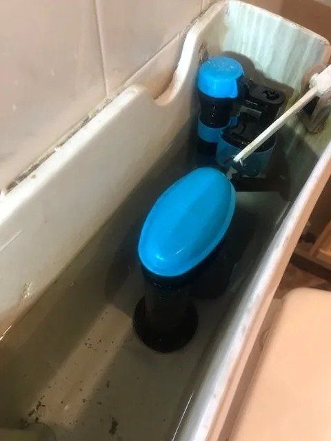 Can We Repair A Cistern Over 35 Years Old?