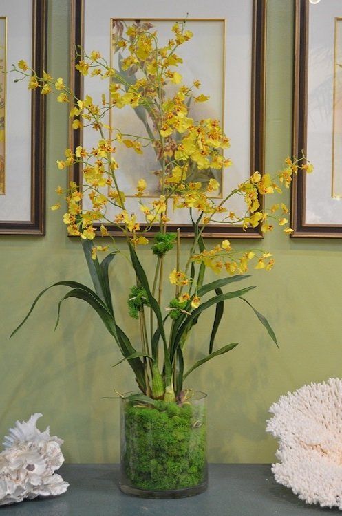 Orchids — Xl Hybrid Oncidium X3 in Wellington, FL