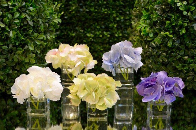 Succulents — Hydrangea in Wellington, FL